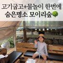 이리음료 | 거제 프라이빗 수영장 모이리숲 후기 온수풀+바베큐+통닭까지! 아이랑 하루 종일 놀기 좋았던 곳