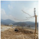 성철농장 Daum카페
