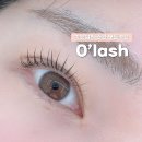오래쉬(O’LASH) 네이버블로그