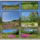 하늘꽃한의원 이미지