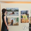 한섬코리아 이미지