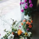 창원flower 네이버블로그