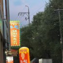 도원돼지국밥 | 두암동 부속고기맛집!! 도원돼지부속고기후기]
