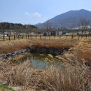 추풍령급수탑공원 화장실 | 봄날 소풍가기 좋은 곳: 근대문화유산 추풍령역 급수탑공원