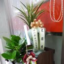 대우드림공인중개사사무소 이미지