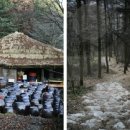 1300리 아름다운 물길따라 떠나는 낙동강 문학여행