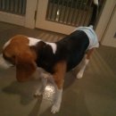 소샘농장 이미지