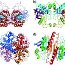 Re:Re:Free radicals, natural antioxidants, and their reaction mechanisms 이미지