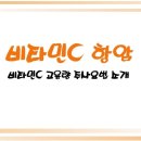 둔산라파엘의원 이미지