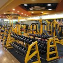 스타칼리 이미지