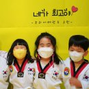 코리아 태권도 3관 이미지