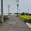 표선리-10 이미지