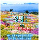 청명(유) 이미지