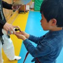 용인대 아이엘 태권스쿨 이미지