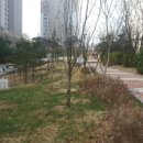 경희대석사 늘푸른태권도장 이미지