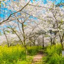 한림어린이공원 이미지