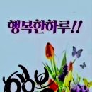 무창포 쭈꾸미.도다리 축제 3.23~26까지 합니다 이미지