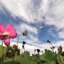 정양늪생명길 이미지