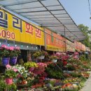 훼밀리화원