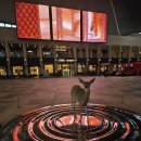 당산초등학교 이미지