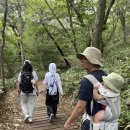 등대아구찜 이미지