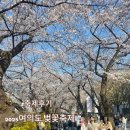 국제대교 쉼터 | 2025 여의도 벚꽃축제 행사 윤중로 개화현황