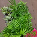 용원농장 이미지