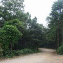 진덕사 석조약사불좌상 이미지