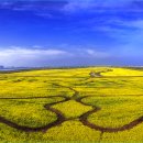 대저수문공원 이미지