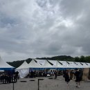 뮤직랜드 | 2025송크란 뮤직페스티벌후기/ 과천 서울랜드 뮤직페스티벌 후기