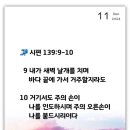 아모스9 Daum카페
