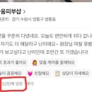 보드라움피부샵 네이버블로그