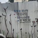 김천시니어클럽옛길 이미지