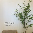 폴앤풀-대구수성 | [대구키즈풀] 아이 친구들과 함께하기 좋은 키즈풀 '폴앤풀수성' (공간대여, 시간, 가격)
