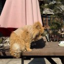 (야간)나도 집밥왕 | 속세를 떠나 자연속으로 🌳