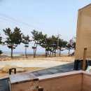 씨유 울진오션뷰점 | 울진 카라반 추천 | 바다 앞 오션뷰 숙소 올덴리조트 카라반 후기 (개별 자쿠치, 바베큐 가능)