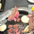 한우소리 이미지