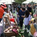 농부청과 이미지