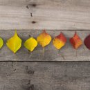 강경하한의원 이미지