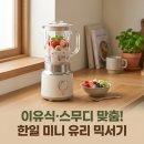 한일 미니 유리 믹서기 후기｜이유식·1인용 블렌더 추천