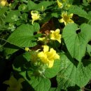 두레어린이집 이미지