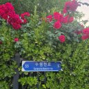세븐일레븐 세류공원점 네이버블로그