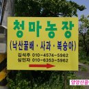 청마농원