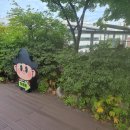 약초원 이미지