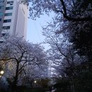 세븐일레븐 외동점 이미지