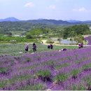 윤정 농장 이미지