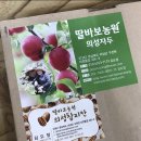비타민C가 풍부한 딸바보농원 의성 자두 제철과일 꼭 챙겨드세요 자두보관 및 자두의효능