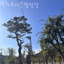 청주숙소 추천 옥화포시즌캠핑장 현지인 추천