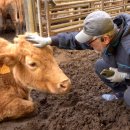 은경목장 이미지