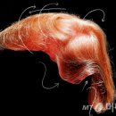 (주)서신인터네셔널 이미지